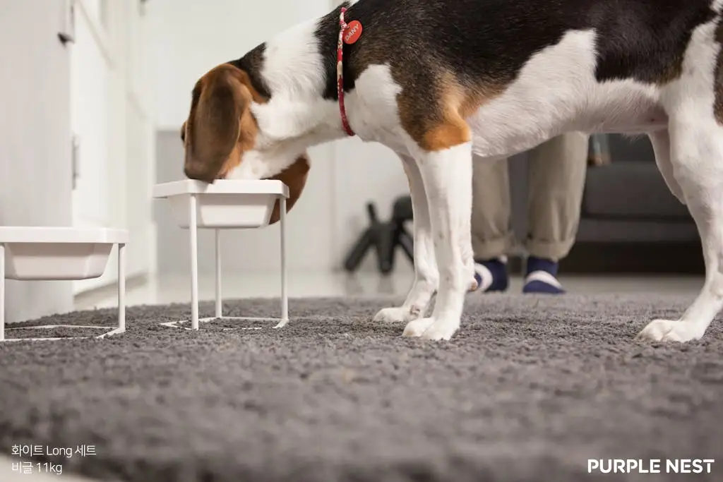 20180115175308389_64.png?dpr=2&auto=format,compress&cs=tinysrgb&gifq=70