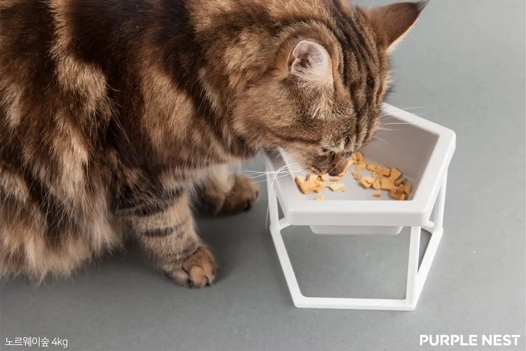 20180115175431247_64.png?dpr=2&auto=format,compress&cs=tinysrgb&gifq=70