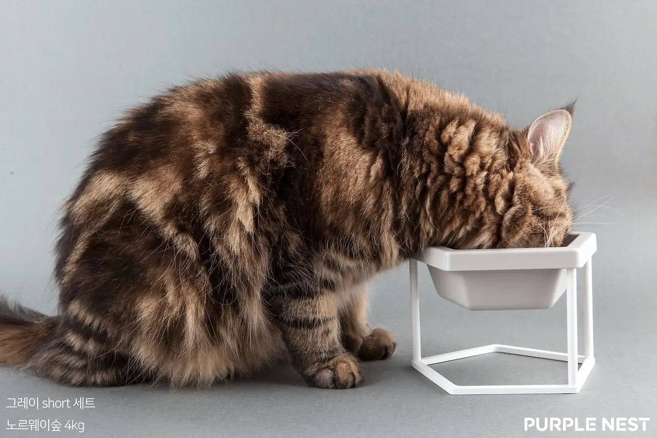 20180115175322149_64.png?dpr=2&auto=format,compress&cs=tinysrgb&gifq=70