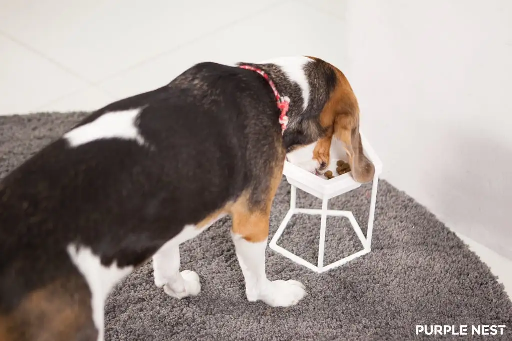 20180115175356425_64.png?dpr=2&auto=format,compress&cs=tinysrgb&gifq=70