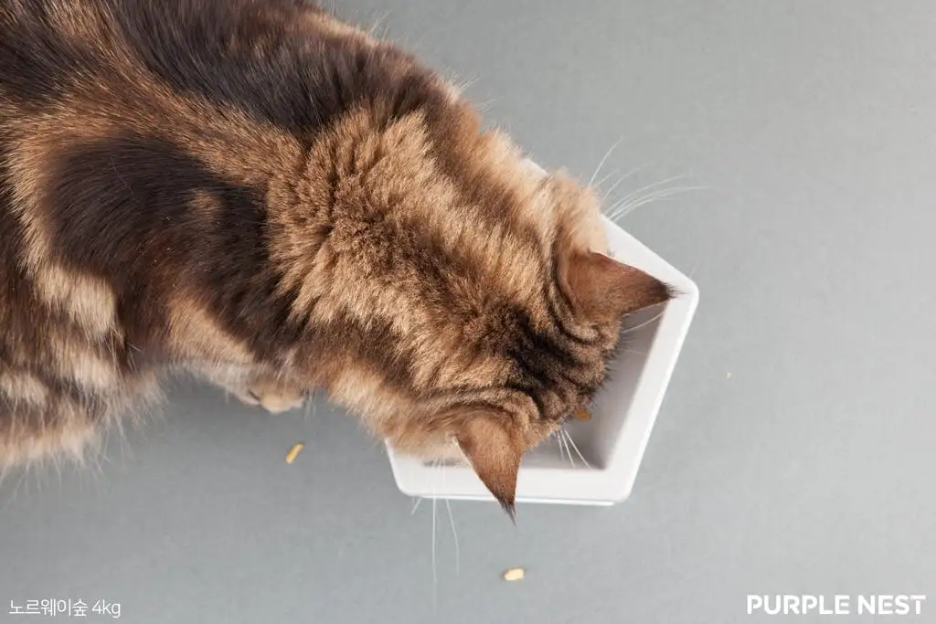 20180115175415285_64.png?dpr=2&auto=format,compress&cs=tinysrgb&gifq=70