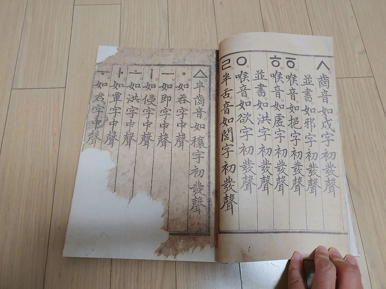 20231014_052100_%EA%B2%B0%EA%B3%BC.jpg?type=w1600