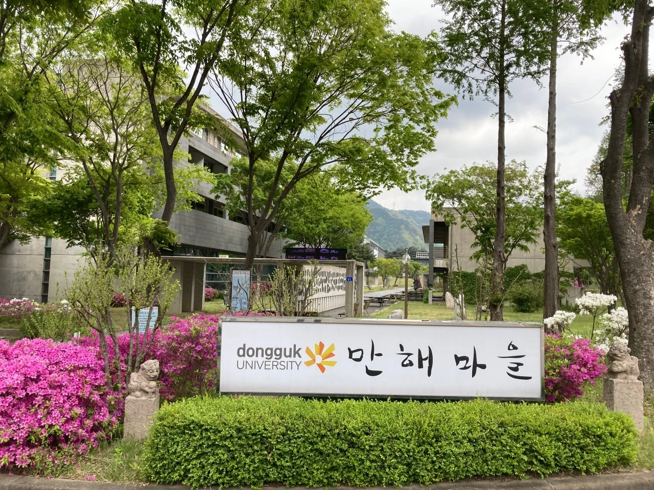 다운로드 (1).jpeg