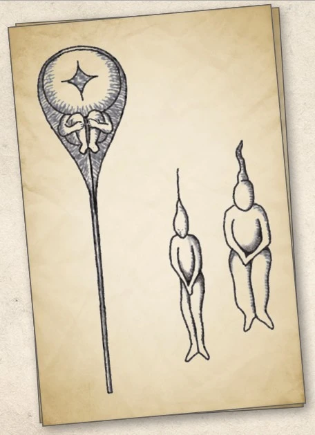 Screenshot_2024-01-23_at_07.54.36.JPG?type=w1600