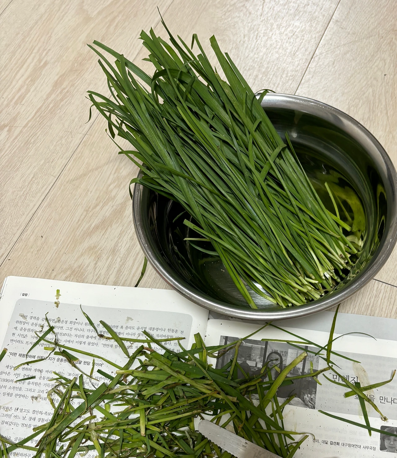 부추1.jpeg