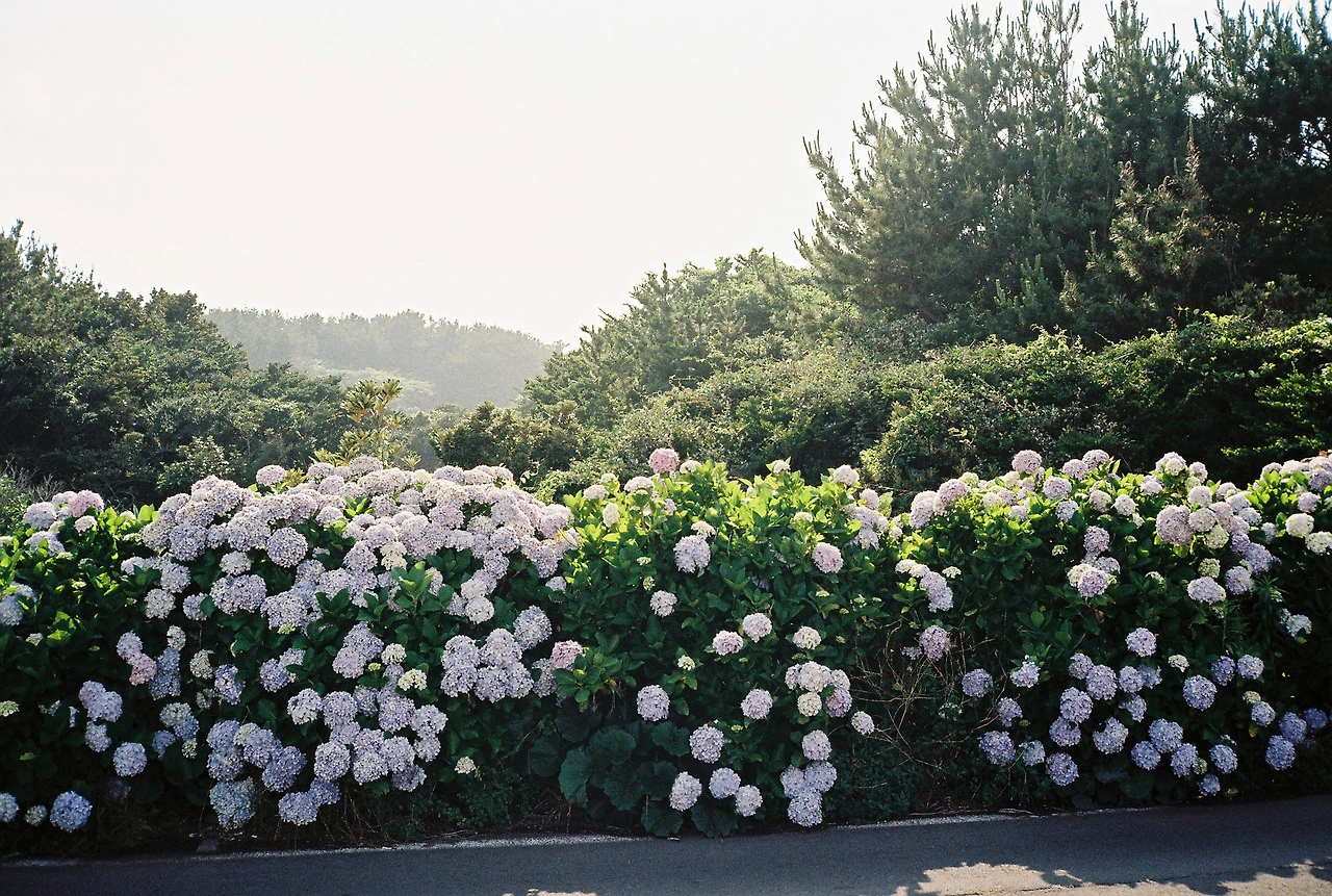 000009 복사본.JPG