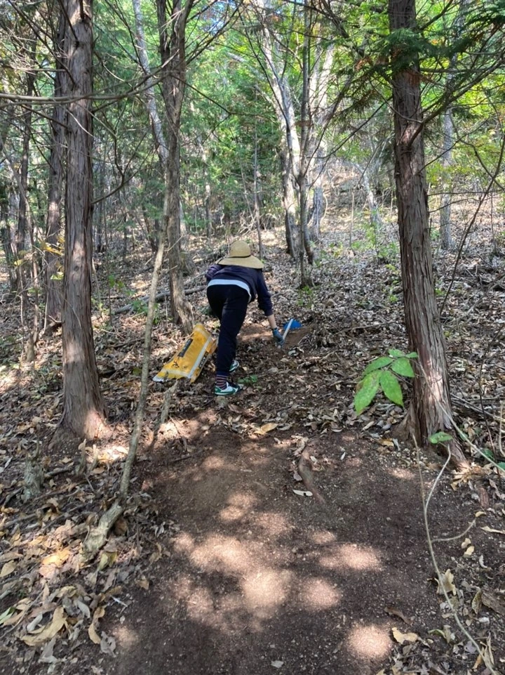 부엽토 긁기.jpeg