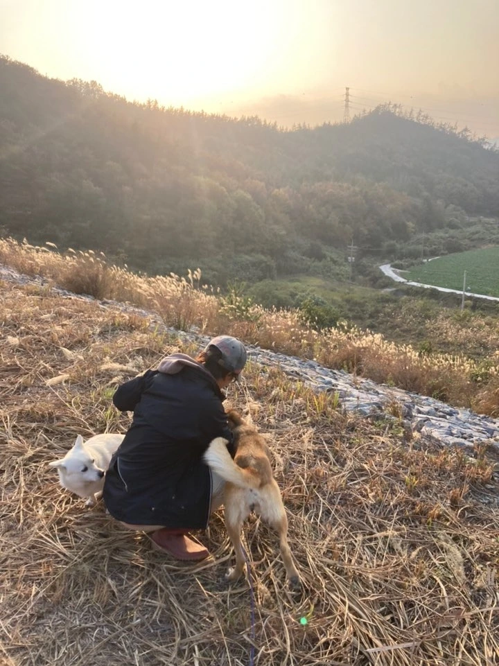 황이 복돌이 혜리.jpeg