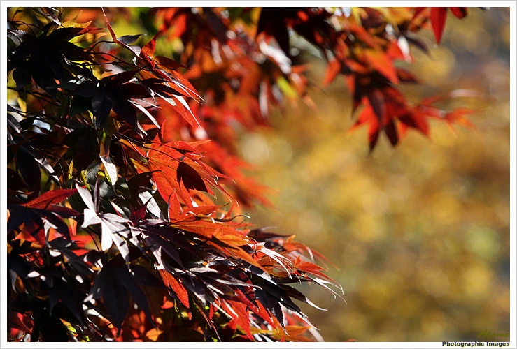 152A943A4EADE6B81B8976