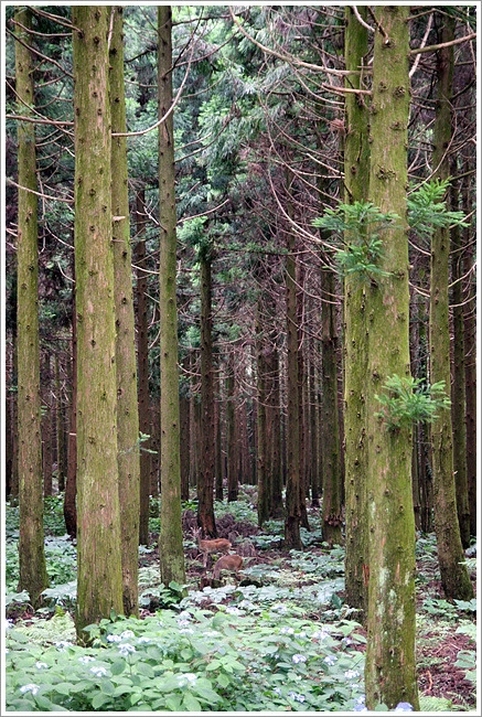 110EFA3F4E11BB24176D7A