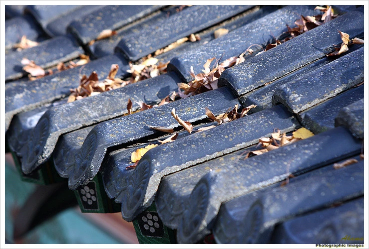 182AA03A4EADE6B619BDC9