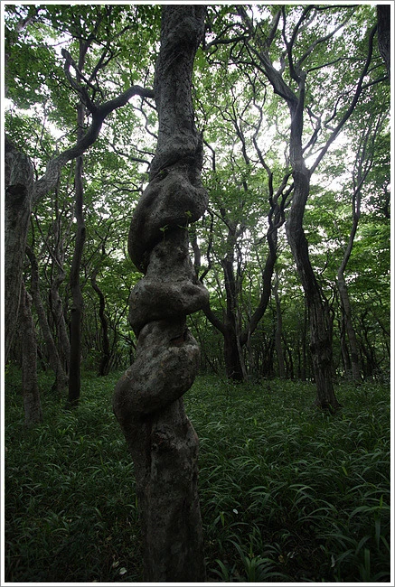 204C07454E11BB1E16BDC9