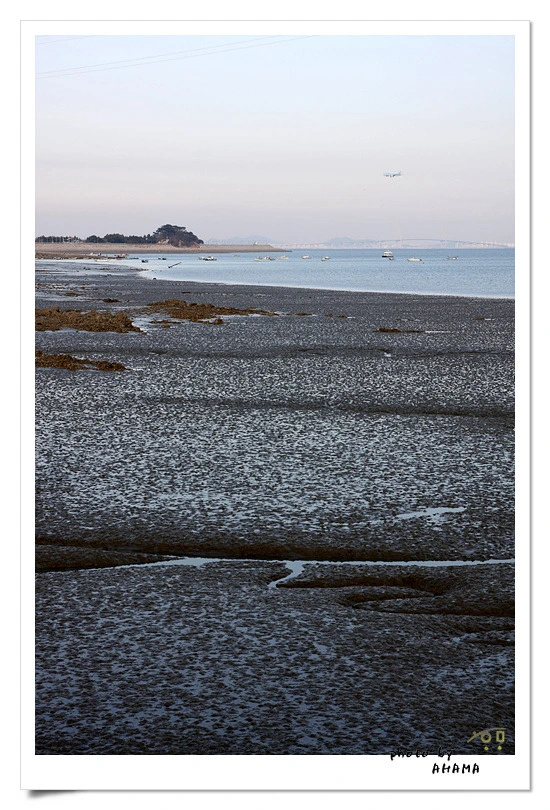 1469E61C4BC2D00E0C99A0