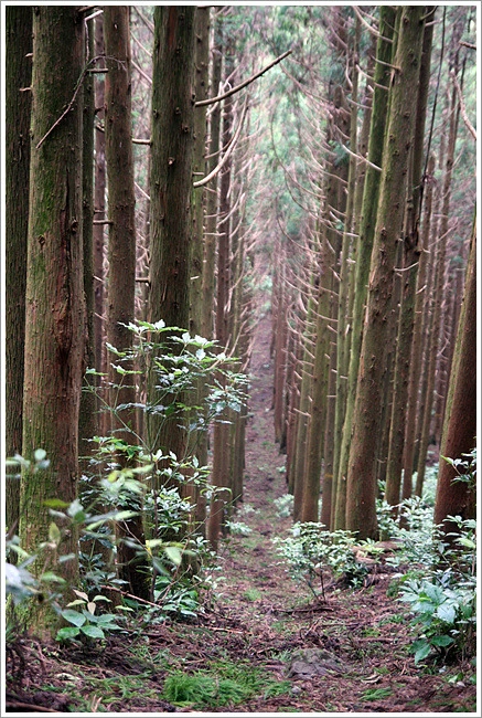 143E75454E11BB2131B82A