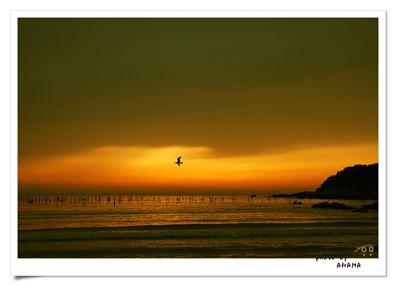 1869E61C4BC2D00F0FBC3B