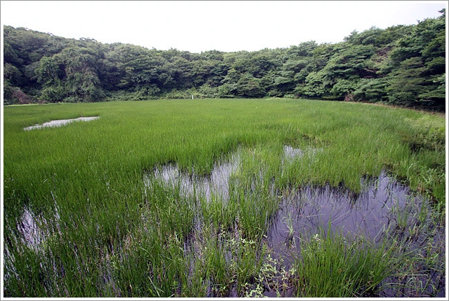 2010983F4E11BB271502DF