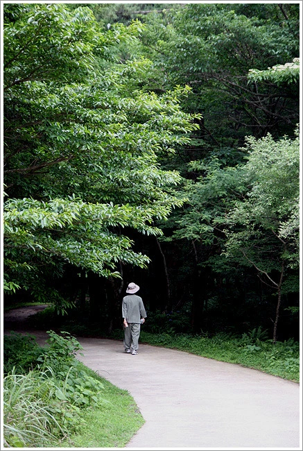 2053E6454E11BB18052101