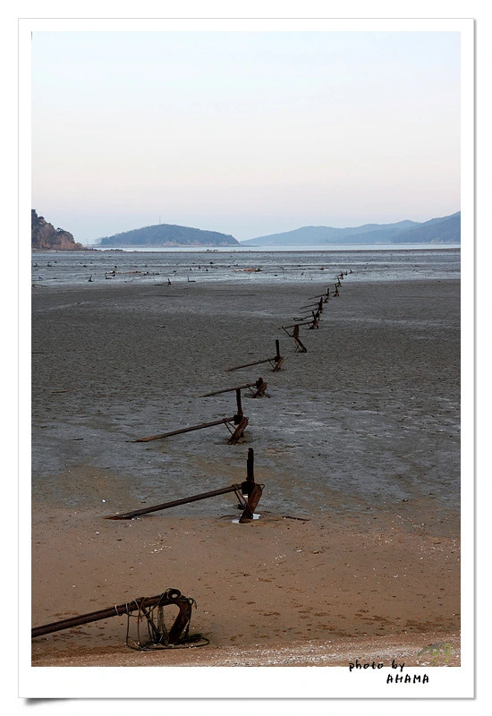 1569E61C4BC2D00E0D496C