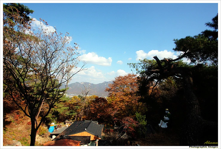 152E793A4EADE6B613CEF4