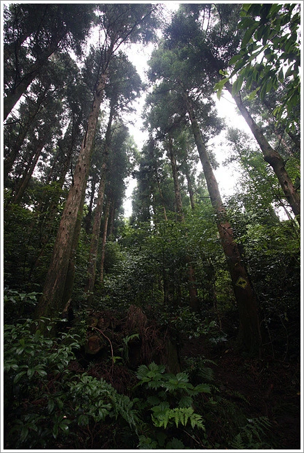 1335E0454E11BB1D2D0EE0