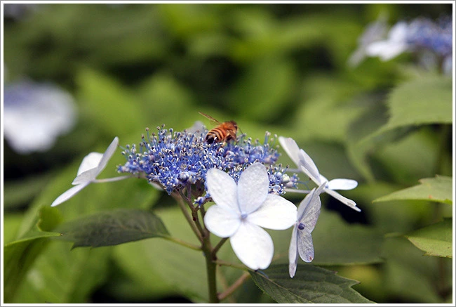 13116D3F4E11BB2213AA99