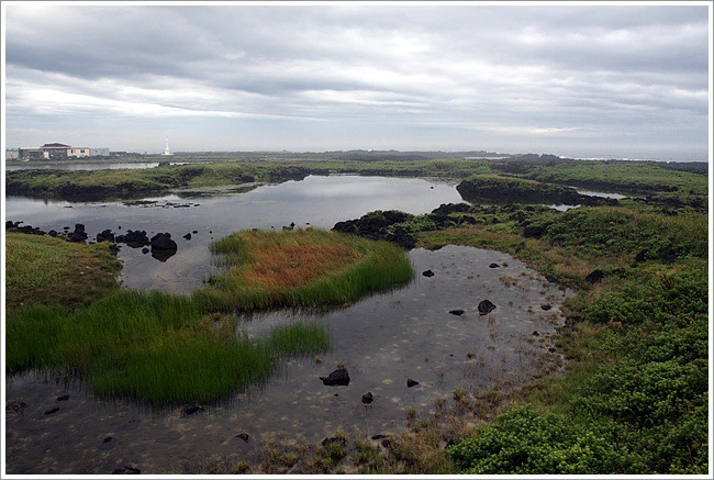 1743BD454E11BB1B1E26D8