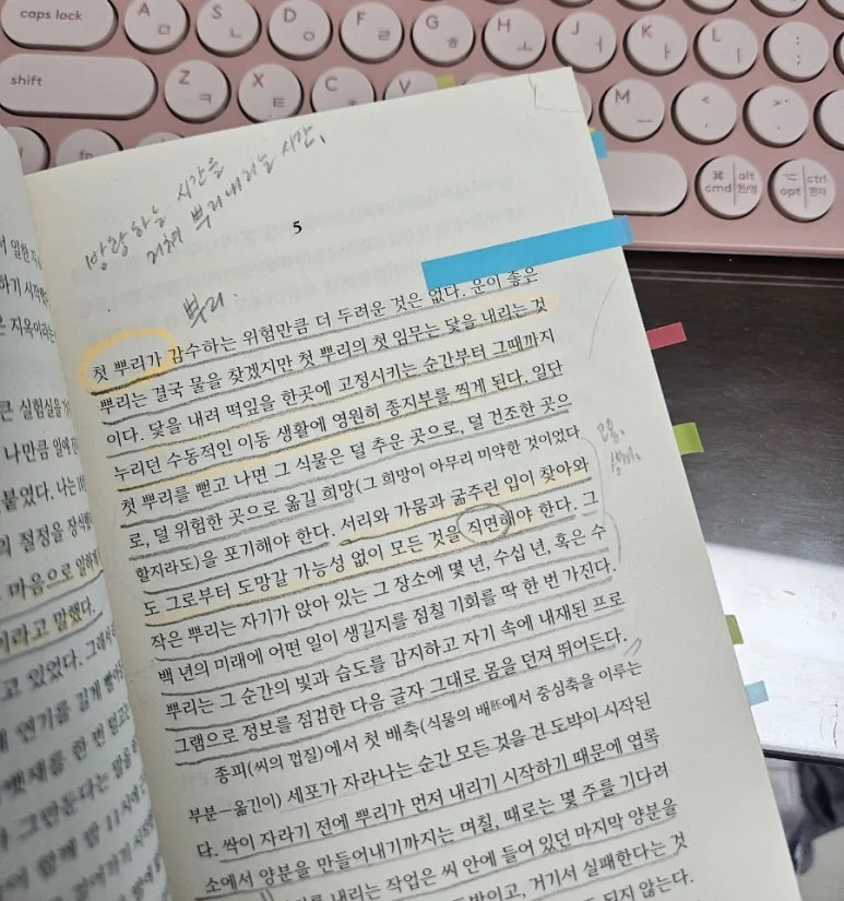 900%EF%BC%BF1767656991161.jpg?type=w773