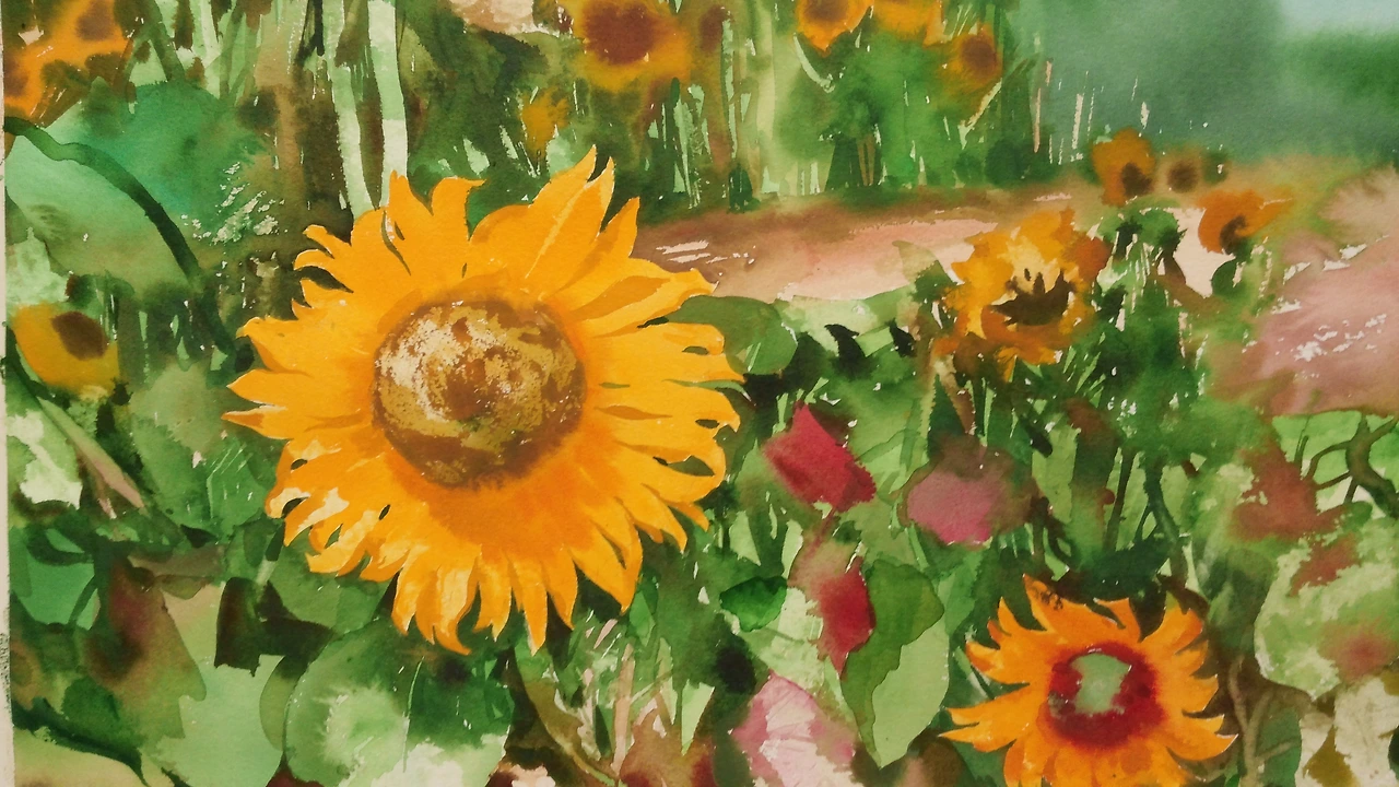 해바라기1.jpg