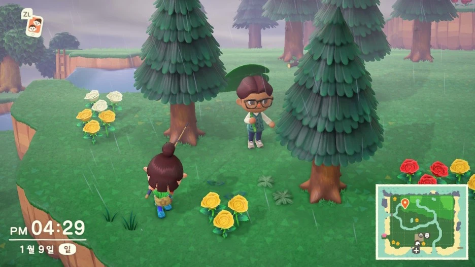 4D8D6D7F-7213-4B42-8543-FEFB419DB793_1_105_c.jpeg?type=w1