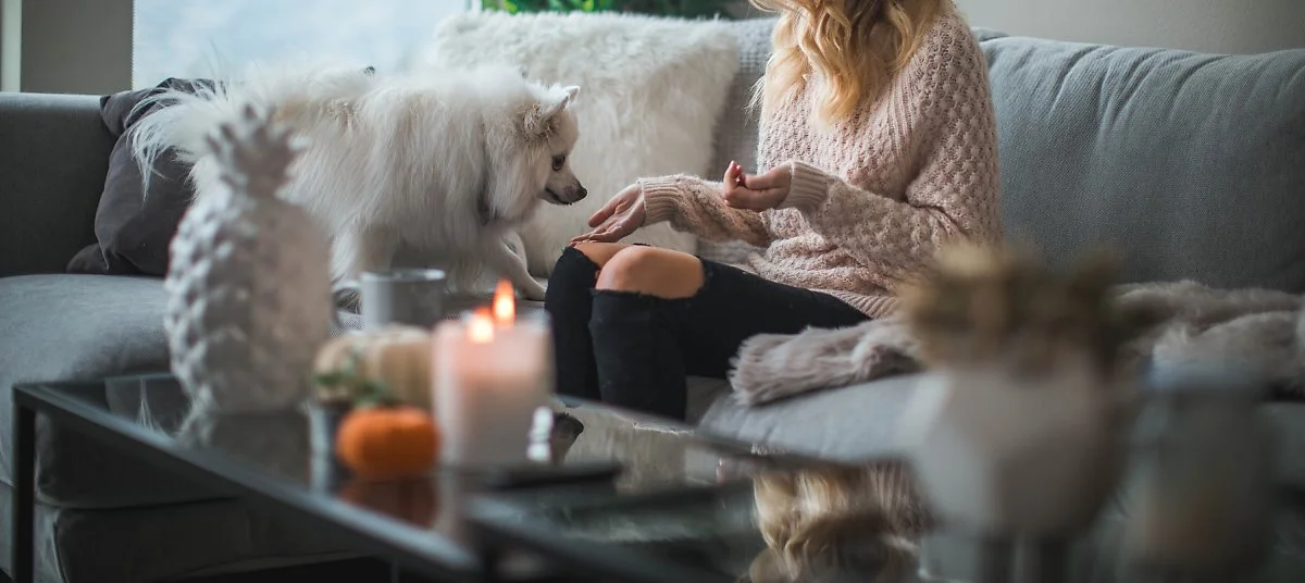 image_58819581539667589200.jpg?type=w1200