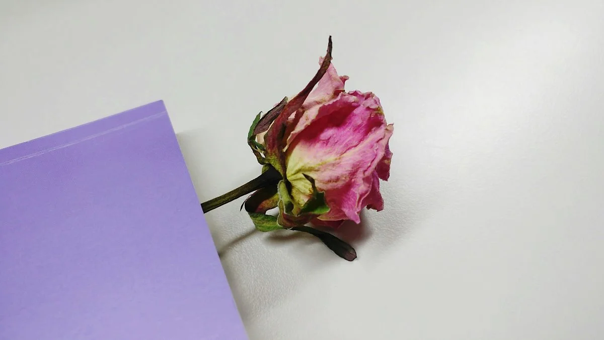 image_4322493561523001384447.jpg?type=w1200