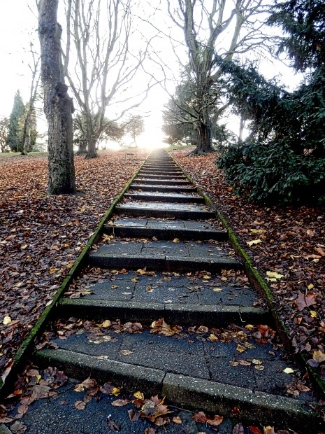 26198C3C558DE6EF35D182