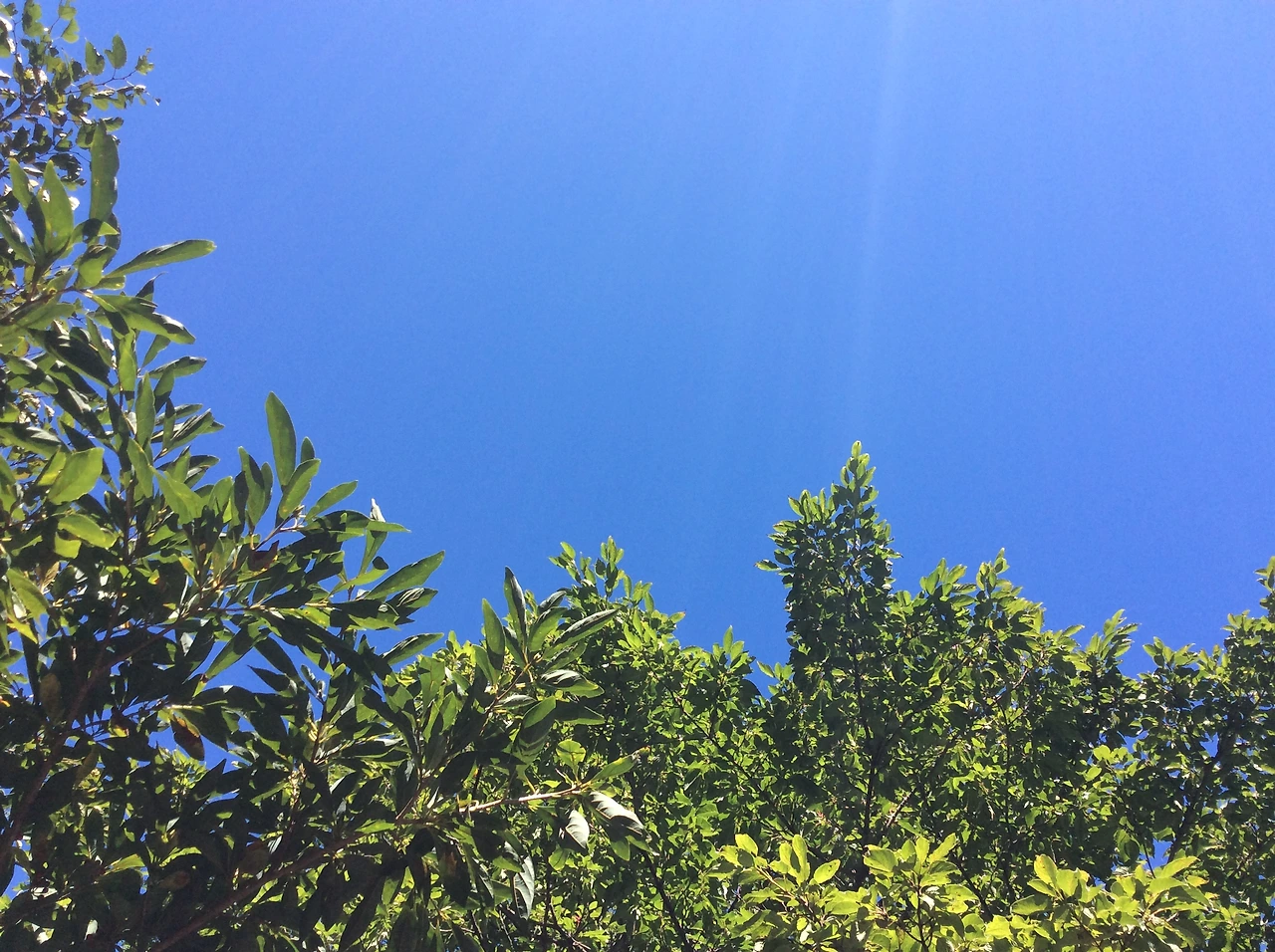 절물 휴양림에서.JPG