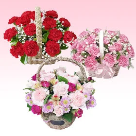 586405373_00.jpg?ver=1525744430