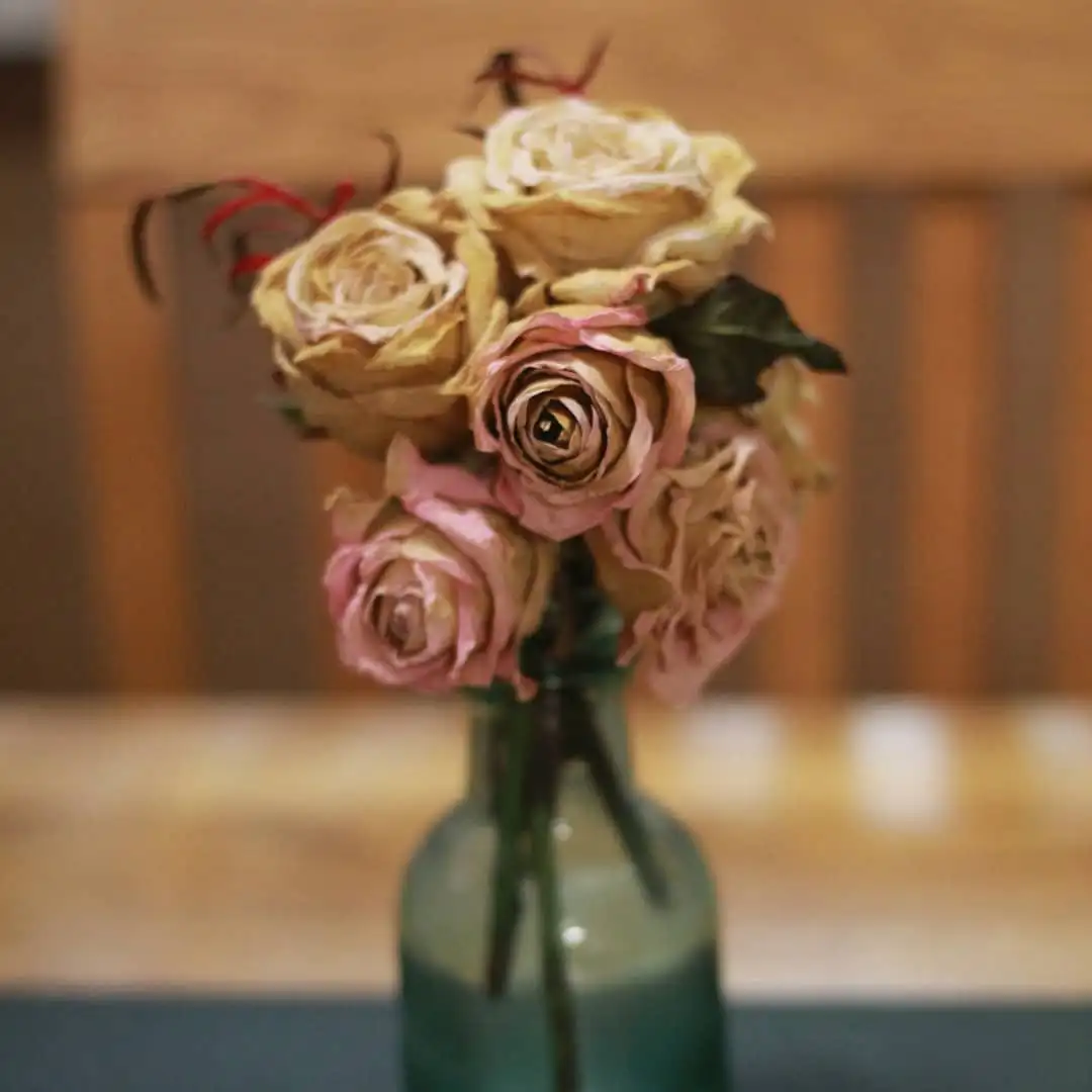 47210403_2304675469814357_2085376345475067464_n.jpg?_nc_ht=scontent-sea1-1.cdninstagram.com&amp;ig_cache_key=MTkzNzA2MzQzMDM1MjM5Mjg1MQ%3D%3D.2