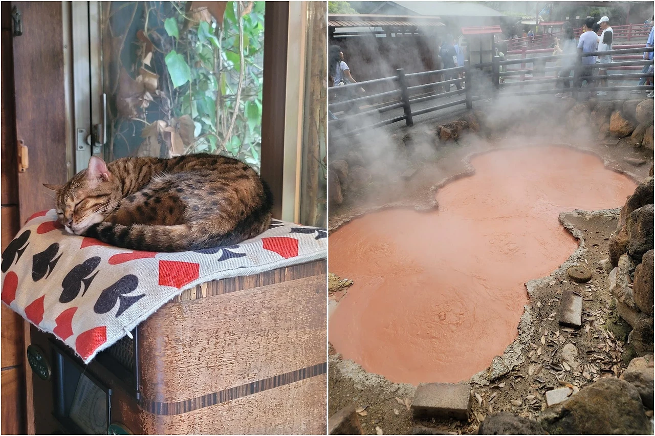 NckbKDjnqBdRLbFpfhe9S8el8dsLYZzujUKeHgtqWMsztdaMDs1XUzymSAuo-BHLoYTj5NRo5NUQmvo17CU=s0-d-e1-ft