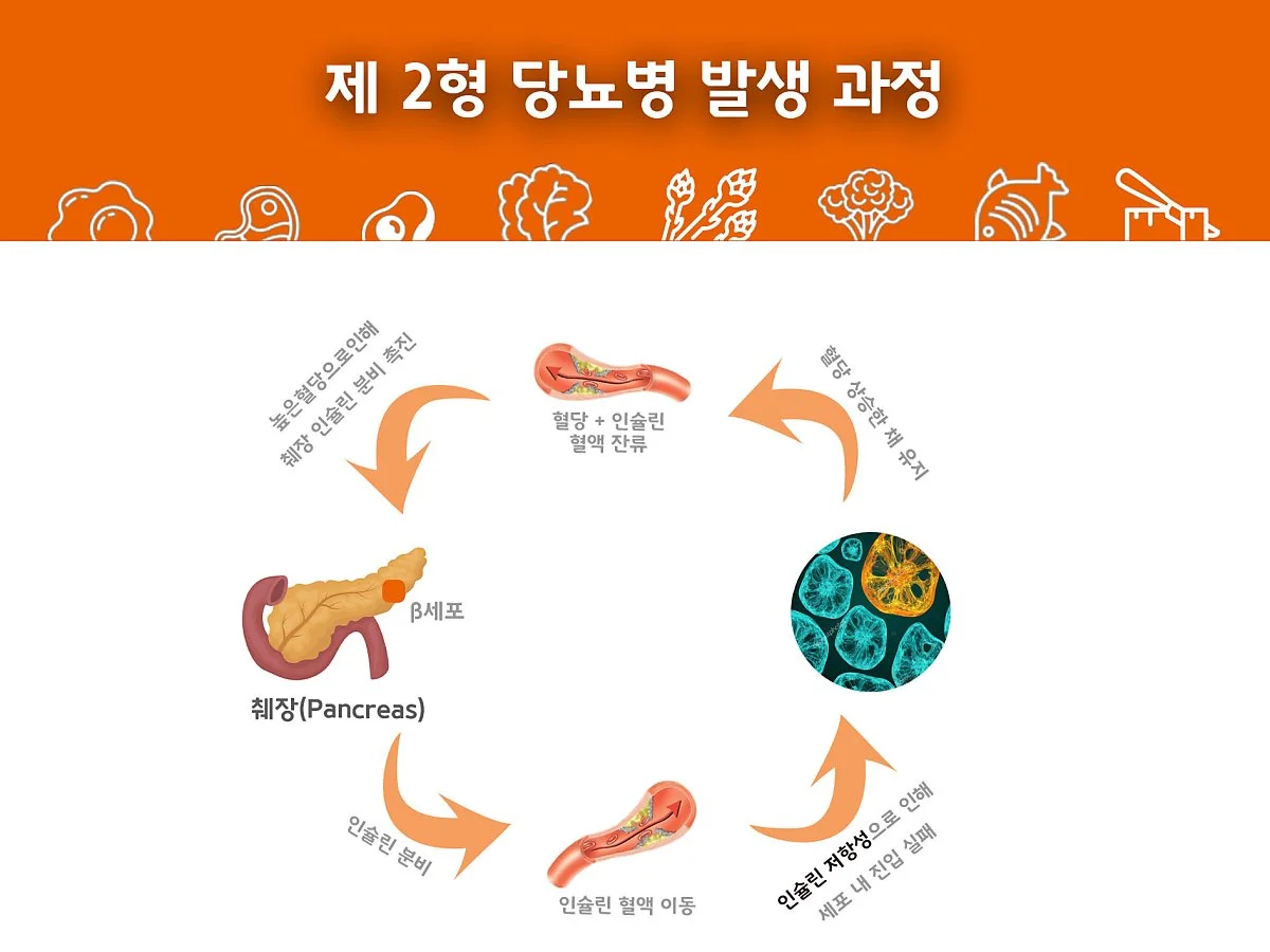%EC%9D%B8%EC%8A%90%EB%A6%B0%EC%9D%98_%EC%9E%91%EC%9A%A9_%EB%B0%A9%EB%B2%95.jpg?type=w1200