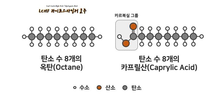 화석연료와 지방산의 비교.PNG
