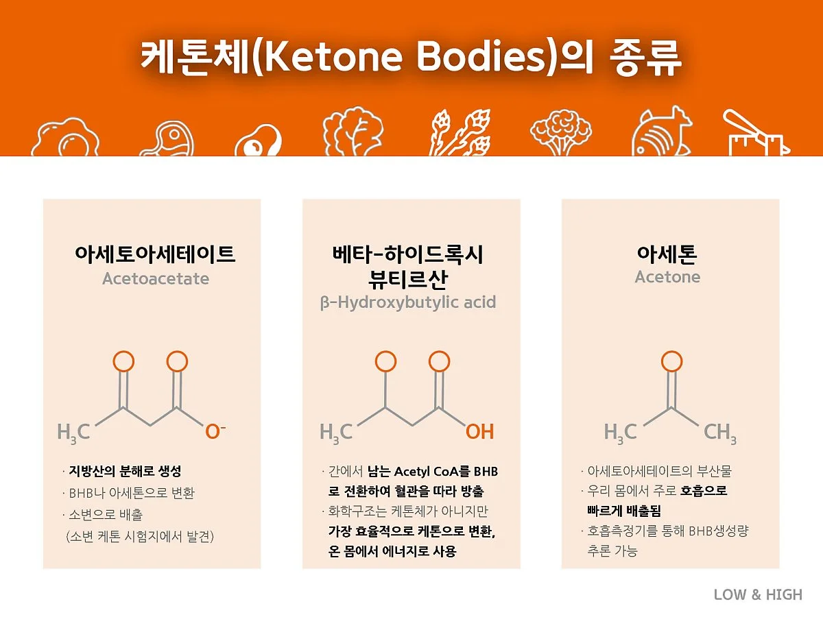 %EC%BC%80%ED%86%A4%EC%B2%B4%EC%9D%98_%EC%A2%85%EB%A5%98.jpg?type=w1200