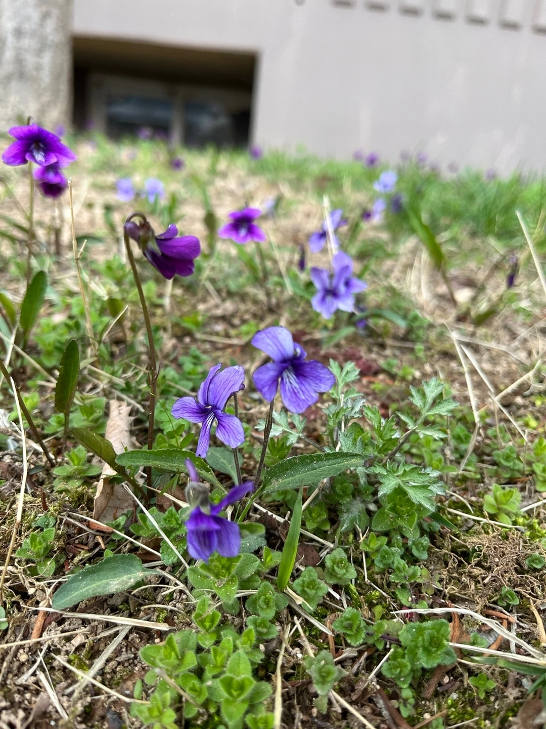 KakaoTalk_Photo_2023-03-29-23-30-03 007.jpeg