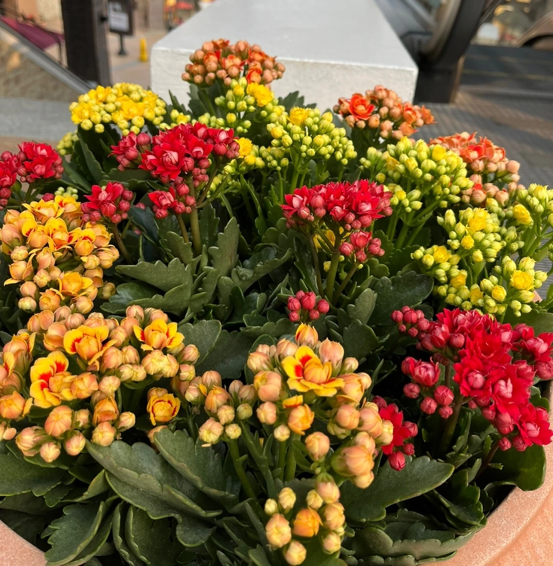 KakaoTalk_Photo_2023-03-29-23-30-01 001.jpeg