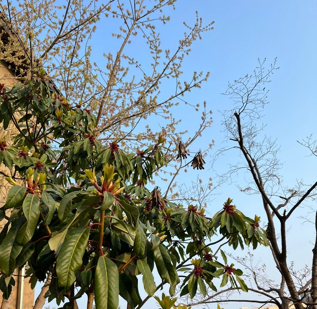 KakaoTalk_Photo_2023-03-29-23-30-02 003.jpeg