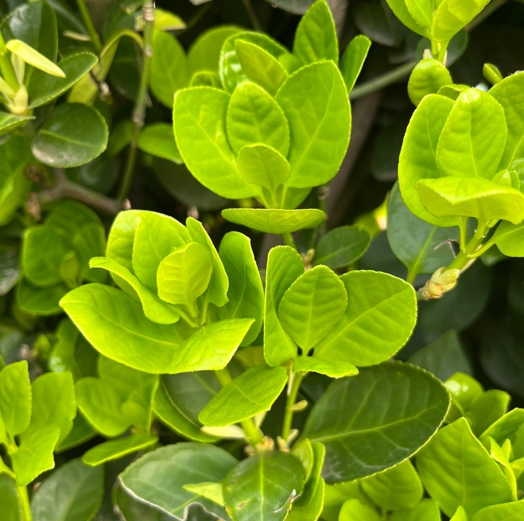 KakaoTalk_Photo_2023-03-29-23-30-02 004.jpeg