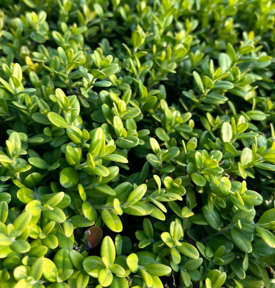 KakaoTalk_Photo_2023-03-29-23-30-02 002.jpeg