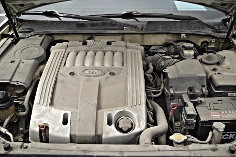 DSC00576_copy.jpg?type=w1