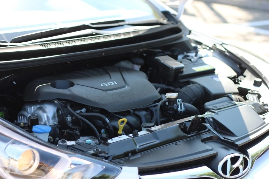 IMG_7144.JPG?type=w1