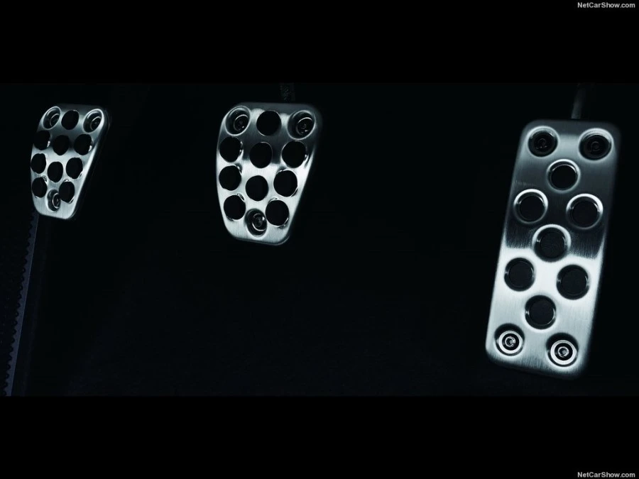 %C8%A5%B4%D9S66028.jpg?type=w1