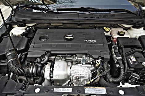 DSC05490_copy.jpg?type=w1