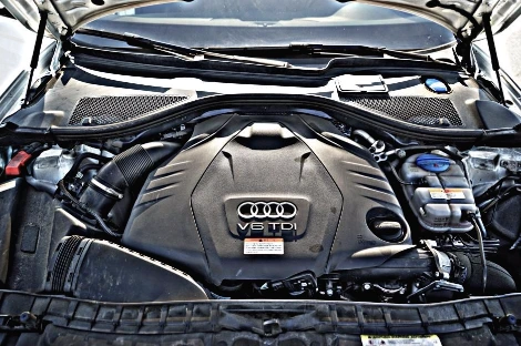 DSC05892_copy.jpg?type=w1