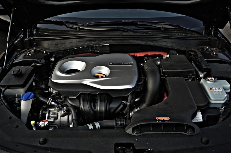 DSC05608_copy.jpg?type=w966